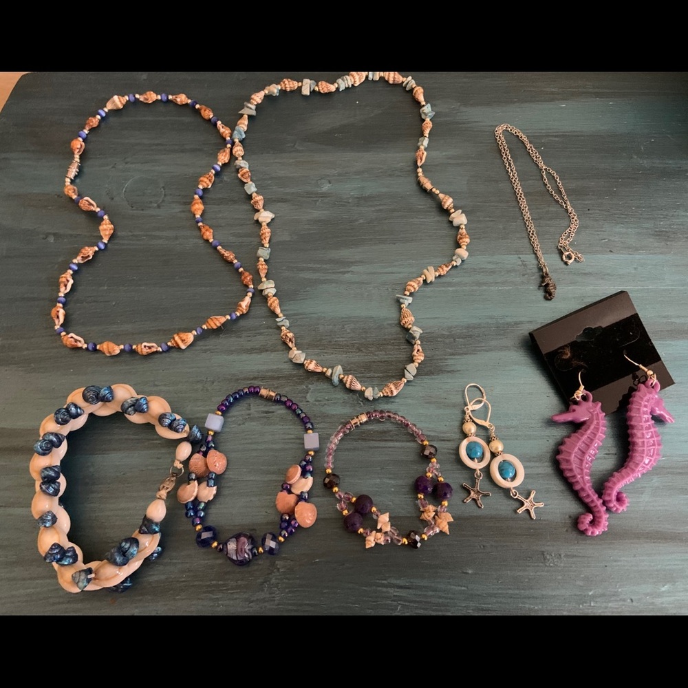 Blue & Purple Shell Jewelry